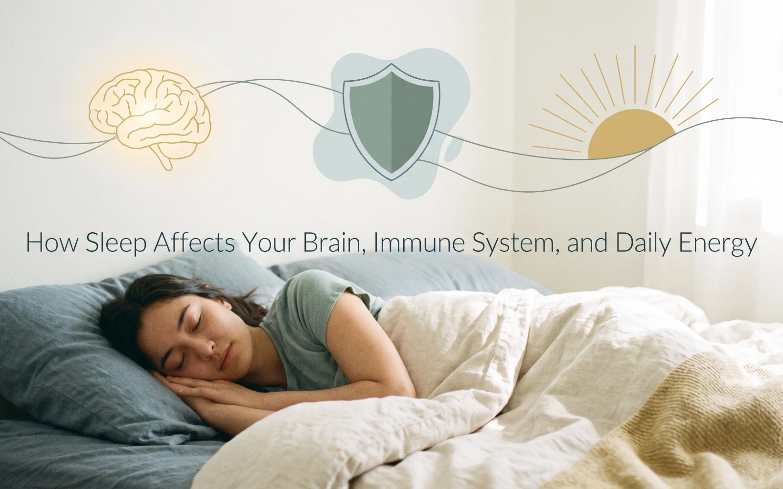 How Sleep Affects Your Brain, Immune System, and Daily Energy